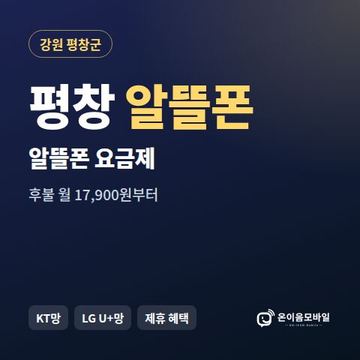 평창알뜰폰 요금제 비교 안내 이미지