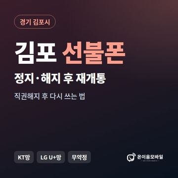 김포시정지폰 선불폰 개통 안내 이미지