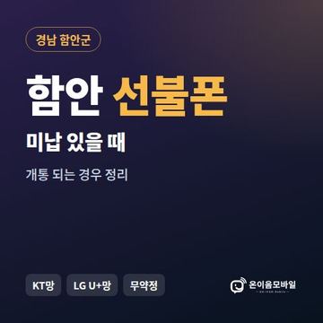 함안군선불폰 미납요금 있을 때 안내 이미지
