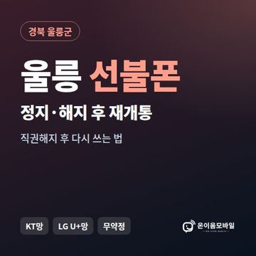 울릉군정지폰 선불폰 개통 안내 이미지