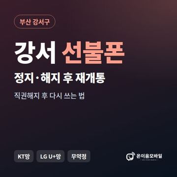 강서구정지폰 선불폰 개통 안내 이미지