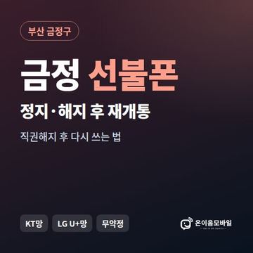 금정구정지폰 선불폰 개통 안내 이미지