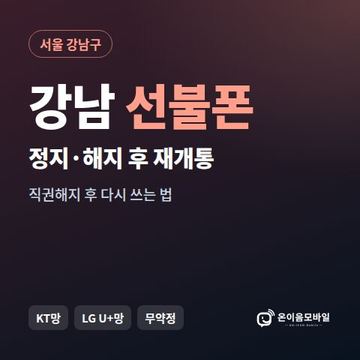 강남구정지폰 선불폰 개통 안내 이미지