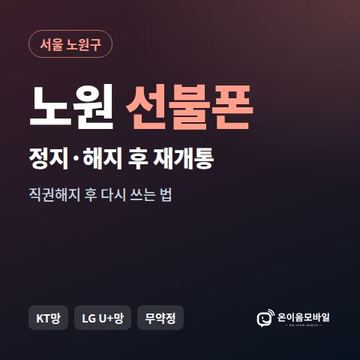 노원구정지폰 선불폰 개통 안내 이미지
