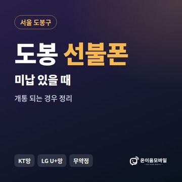 도봉구선불폰 미납요금 있을 때 안내 이미지