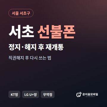 서초구정지폰 선불폰 개통 안내 이미지