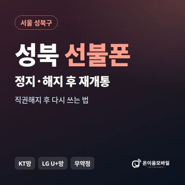 성북구정지폰 선불폰 개통 안내 이미지