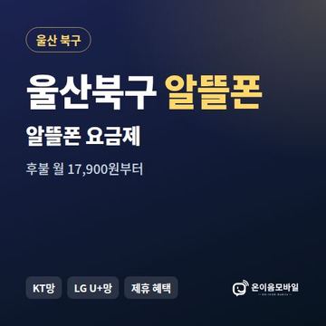울산북구알뜰폰 요금제 비교 안내 이미지