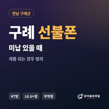 구례군선불폰 미납요금 있을 때 안내 이미지