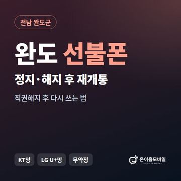 완도군정지폰 선불폰 개통 안내 이미지