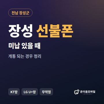 장성군선불폰 미납요금 있을 때 안내 이미지