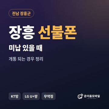 장흥군선불폰 미납요금 있을 때 안내 이미지