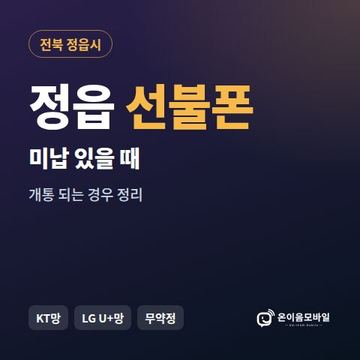 정읍시선불폰 미납요금 있을 때 안내 이미지