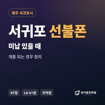 서귀포시선불폰 미납요금 있을 때 안내 이미지
