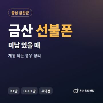 금산군선불폰 미납요금 있을 때 안내 이미지