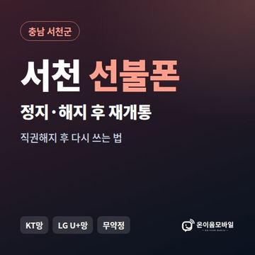 서천군정지폰 선불폰 개통 안내 이미지