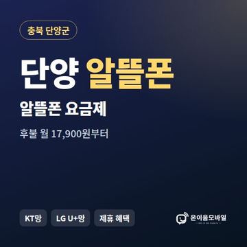 단양알뜰폰 요금제 비교 안내 이미지